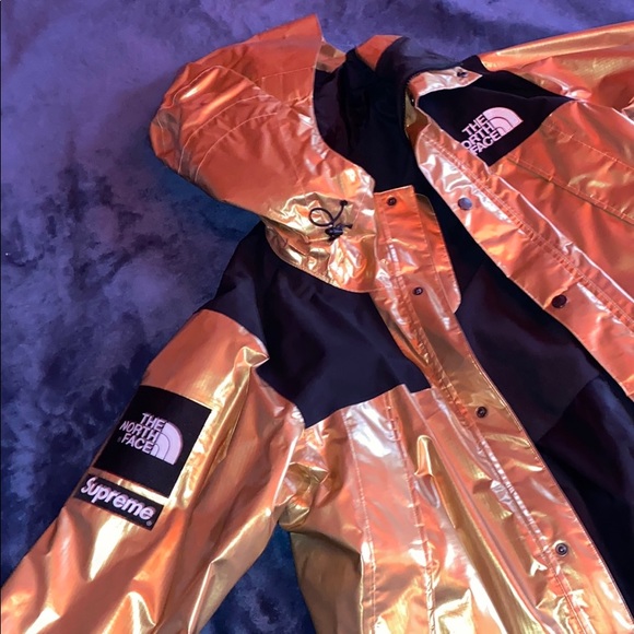 Supreme the north face metallic mountain
